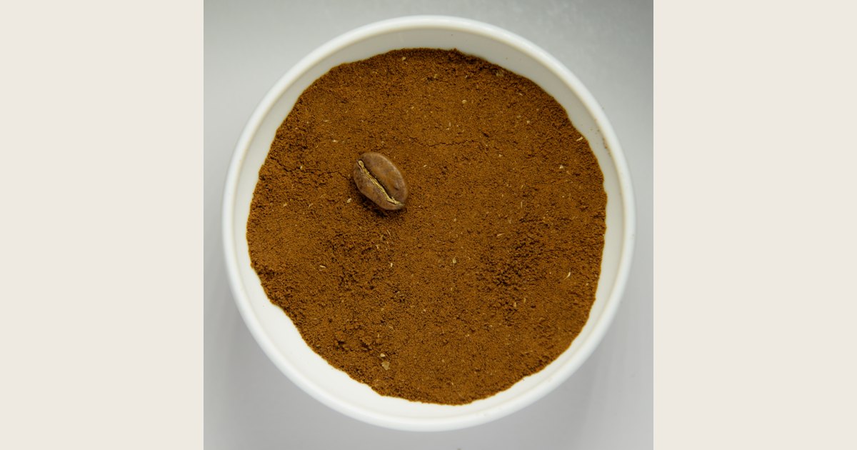 Fine coffee grounds in a white bowl with a whole roasted coffee bean on top for visual scale.
