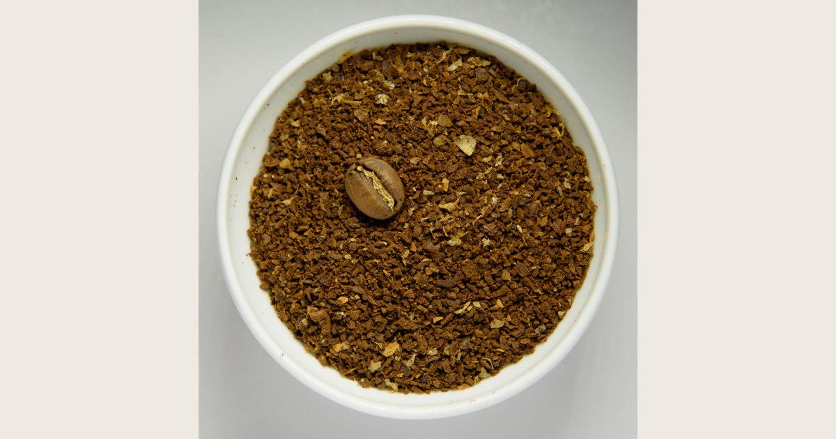 Coarse coffee grounds in a white bowl with a whole roasted coffee bean on top for visual scale.